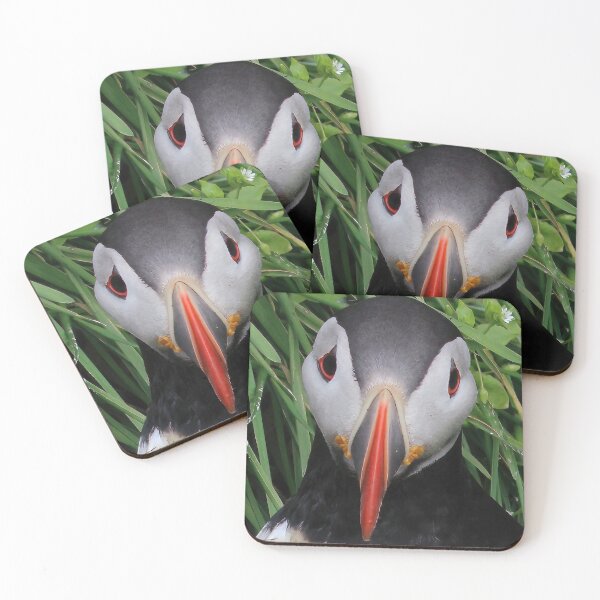 Item preview, Atlantic puffin (Fratercula arctica) designed and sold by Vidarleikur.