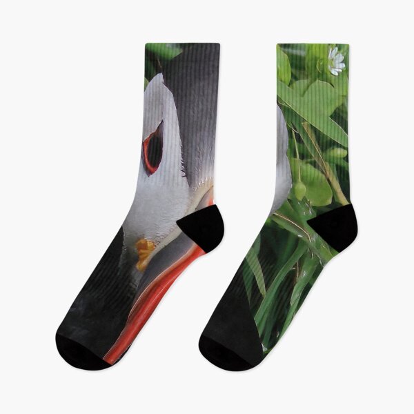 Item preview, Atlantic puffin (Fratercula arctica) designed and sold by Vidarleikur.