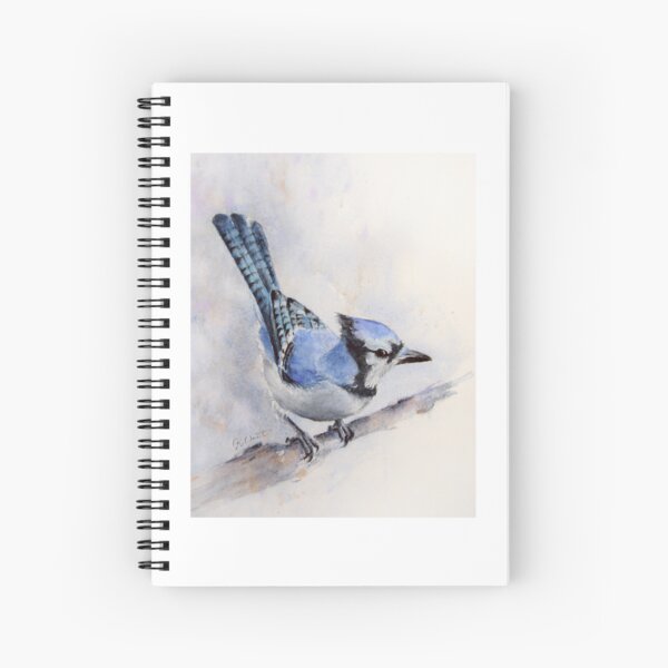 JPEGPNG Digital Download Blue Jay Watercolor Painting Bird 
