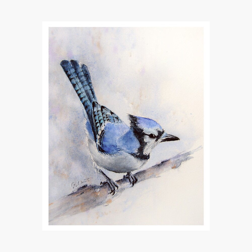 Blue Jay Bird Flying Watercolor Hand Stock Illustration 1012265281