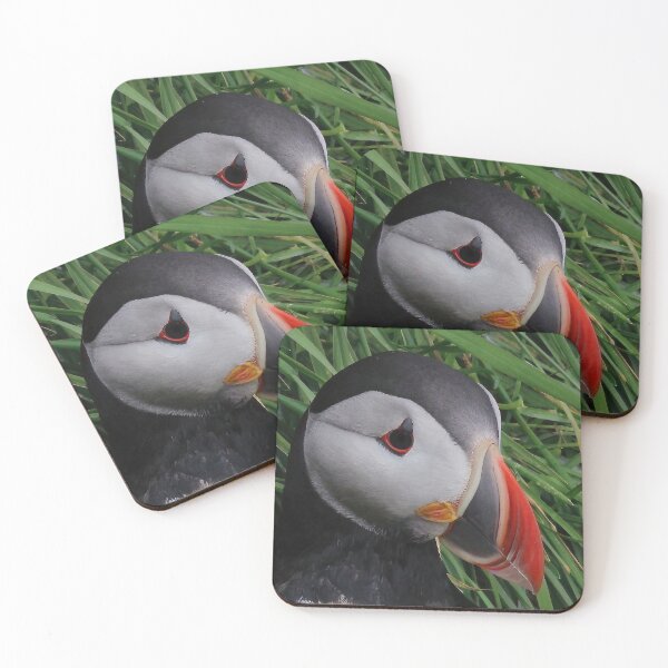 Item preview, Atlantic puffin (Fratercula arctica) designed and sold by Vidarleikur.