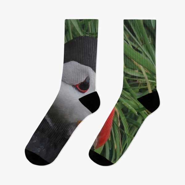Item preview, Atlantic puffin (Fratercula arctica) designed and sold by Vidarleikur.
