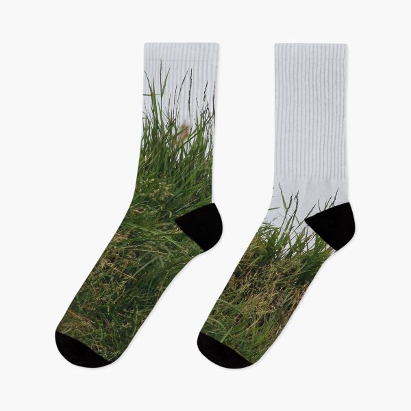 Item preview, Atlantic puffin (Fratercula arctica) designed and sold by Vidarleikur.