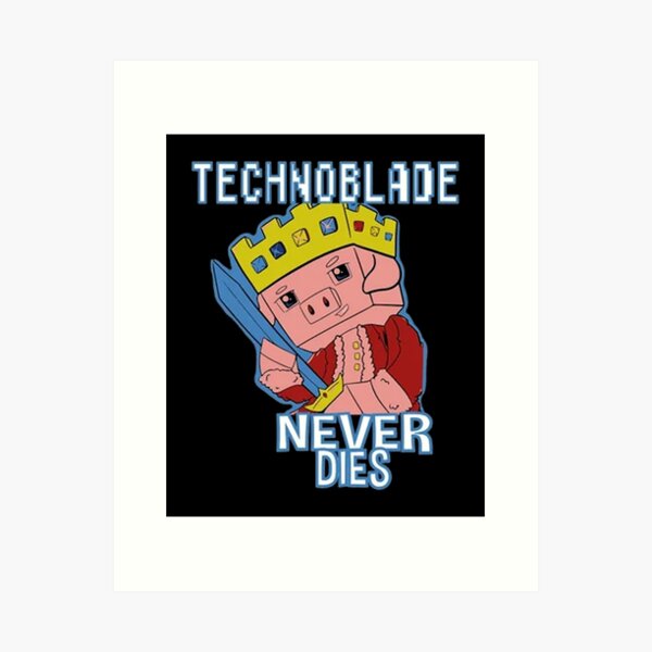 salute to the skys so technoblade never dies｜TikTok Search