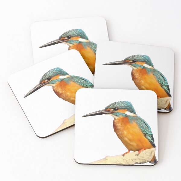 Item preview, Blue and orange kingfisher.  designed and sold by ShopThousand.