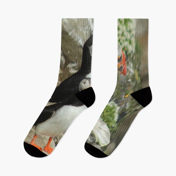 Item preview, Atlantic puffin (Fratercula arctica) designed and sold by Vidarleikur.