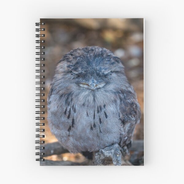 Item preview, Tawny Frogmouth designed and sold by susanzentay.