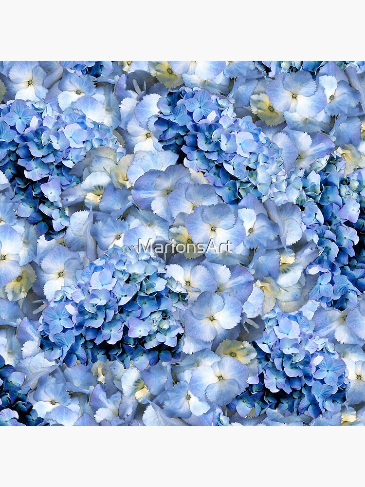 Thumbnail 5 of 5, Coasters (Set of 4), Blue hydrangea - floral art designed and sold by MarionsArt.