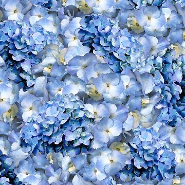 Artwork thumbnail, Blue hydrangea - floral art by MarionsArt
