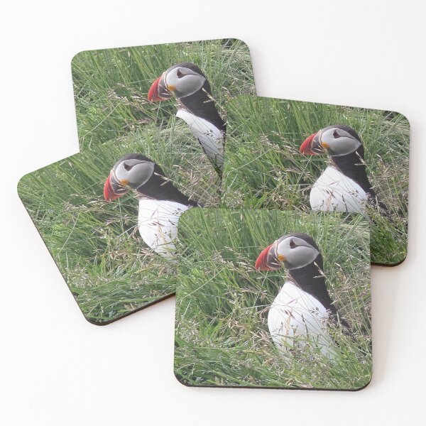 Item preview, Atlantic puffin (Fratercula arctica) designed and sold by Vidarleikur.