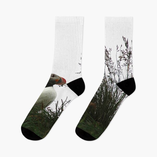 Item preview, Atlantic puffin (Fratercula arctica) designed and sold by Vidarleikur.