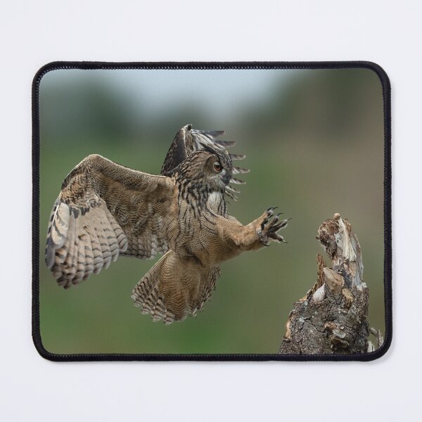 Item preview, Big Owl designed and sold by Nicole W..