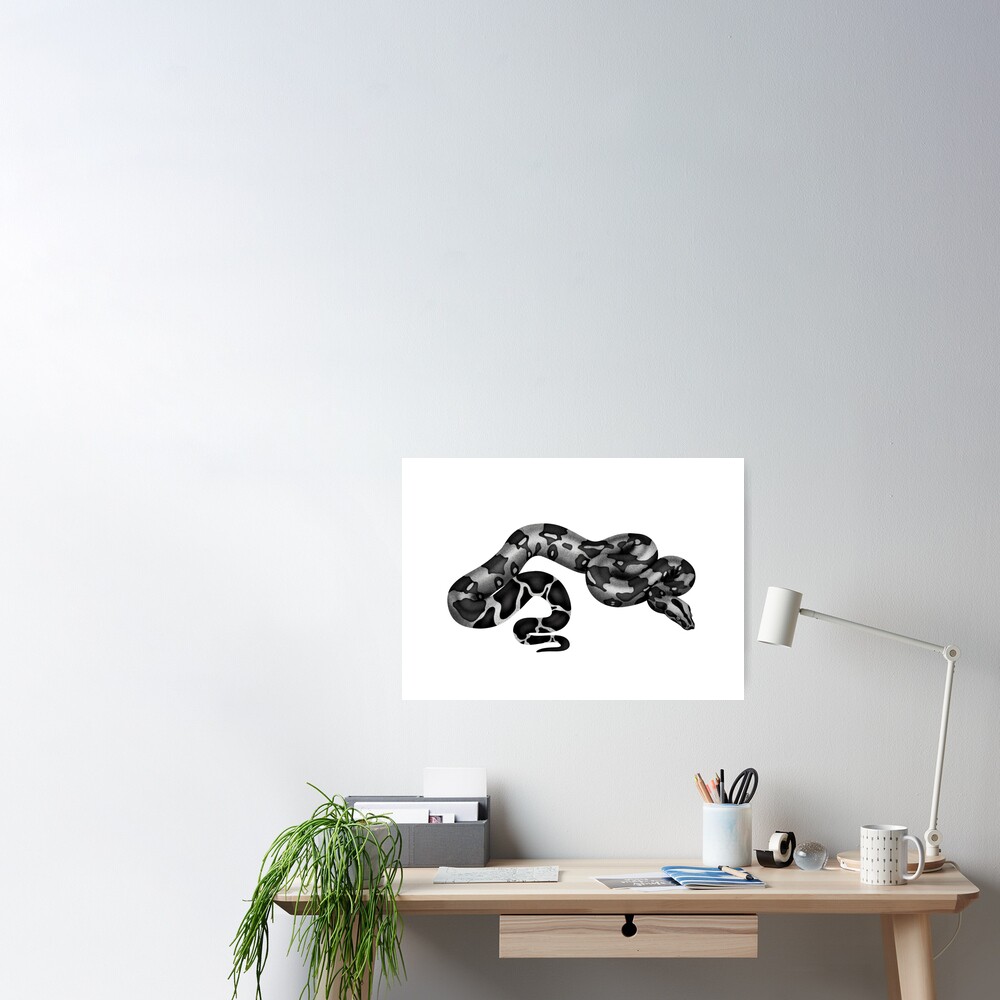 Boa Constrictor Black & White Art Board Print for Sale by porpoisefully