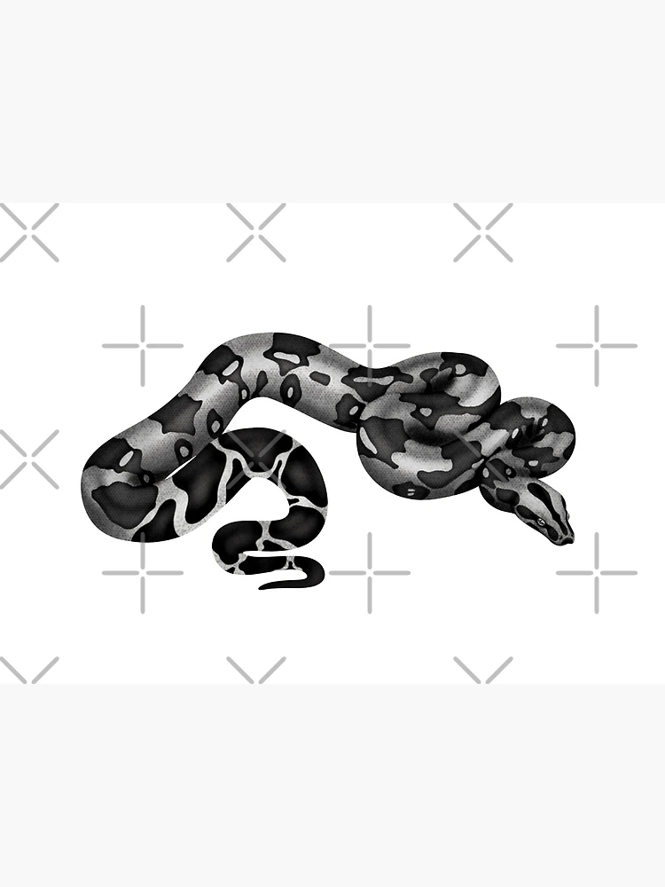 White Boa Constrictor Snake Pattern Art Print by save-sarah