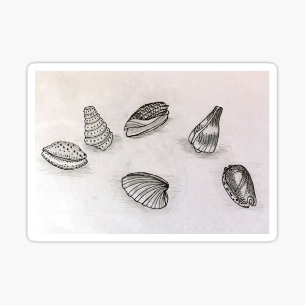 Seashells - Art from the Sea Sticker