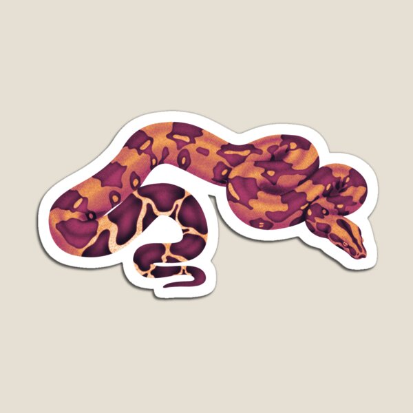 Item preview, Boa Constrictor Mystic Orange designed and sold by porpoisefully.