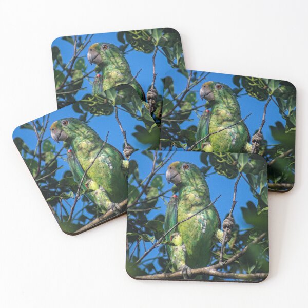Item preview, Hll parrot designed and sold by pcfyi.