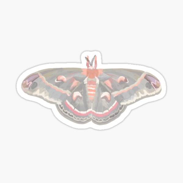 Moth Sticker, Cecropia Moth Insect Sticker, Waterproof Vinyl Art Stick -  studiotuesday