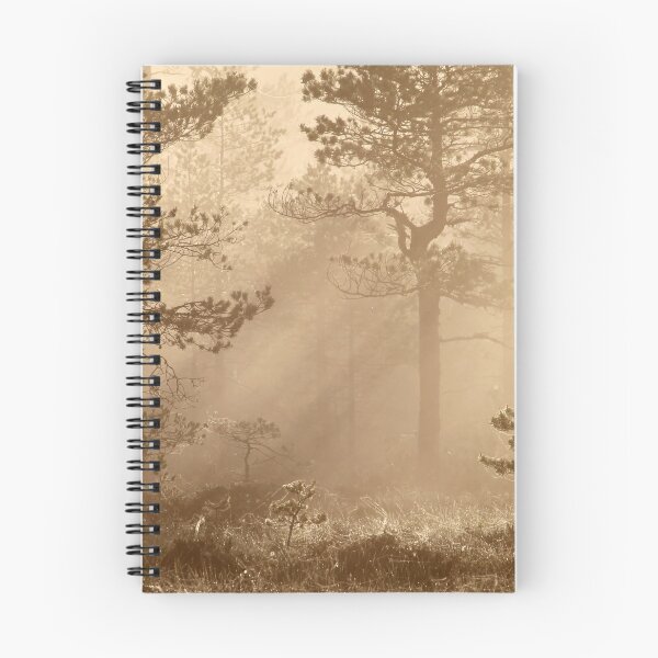 Item preview, 10.6.2017: Summer Morning at Marsh II designed and sold by Petri Volanen.