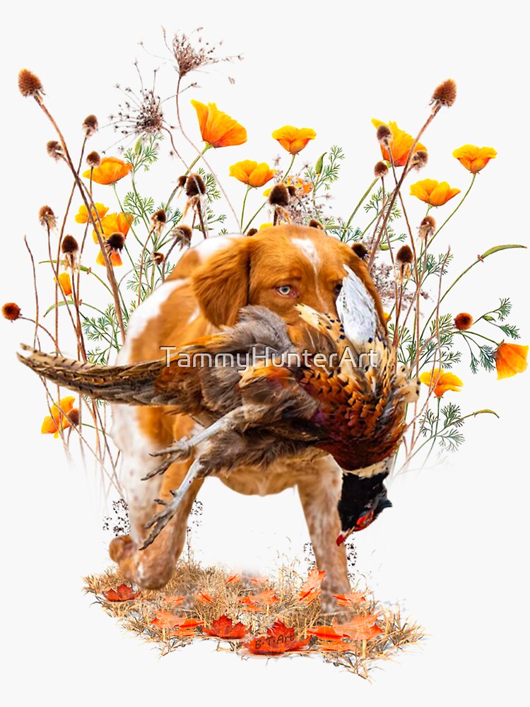 Epagneul Breton, Brittany Spaniel hunting pheasant Sticker for