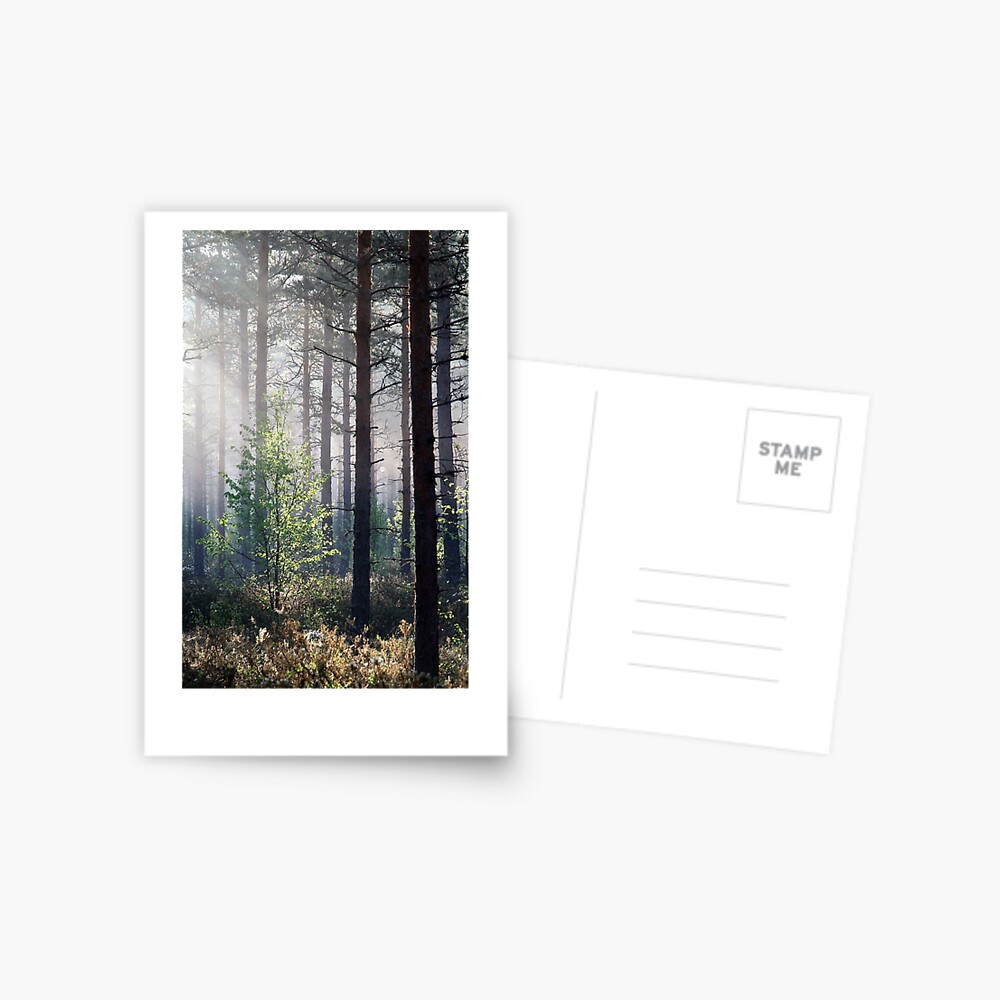 Item preview, Postcard designed and sold by Wolfheart.