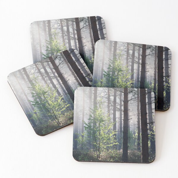 Item preview, 10.6.2017: Young Birch designed and sold by Petri Volanen.