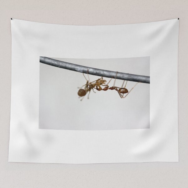 Item preview, I got you covered, hang on there designed and sold by lensbaby.