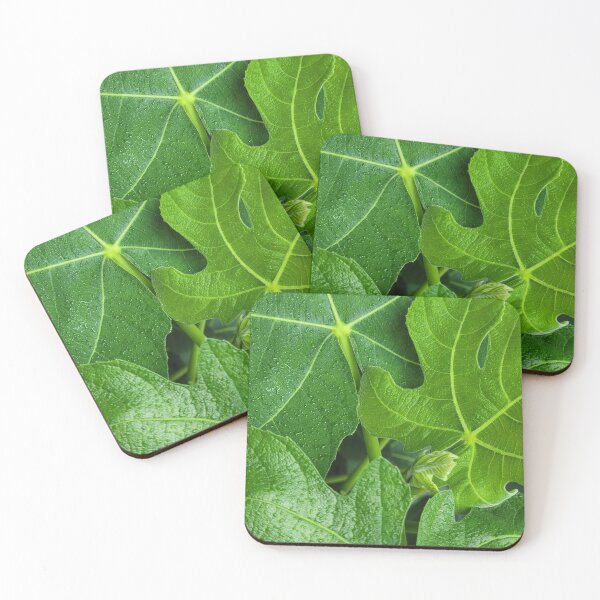 Item preview, Fig leaves, up close. Nature foliage designs designed and sold by ArtByScience.