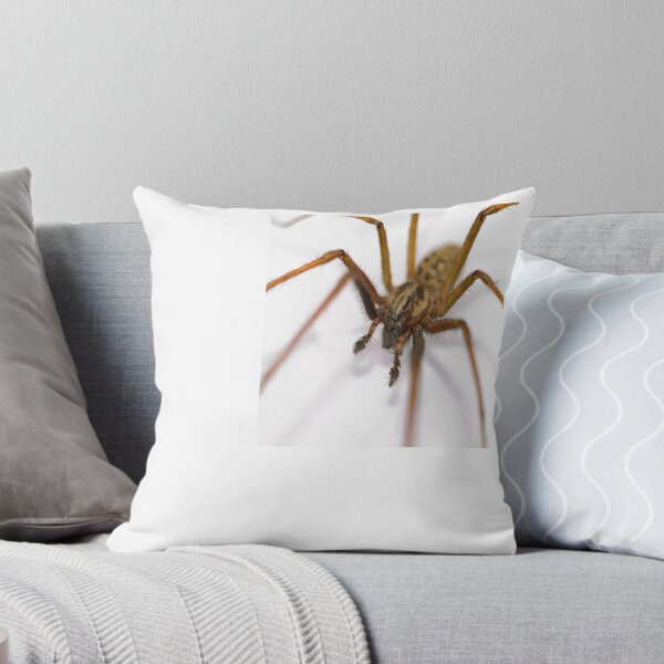 Item preview, Spider spider designed and sold by Paul Tremble.