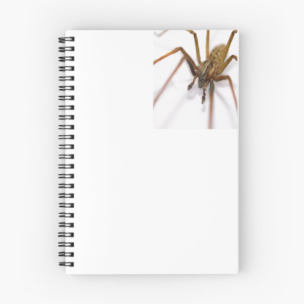 Item preview, Spider spider designed and sold by Paul Tremble.
