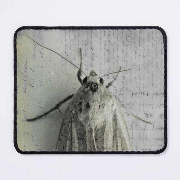Item preview, Lepidoptera I designed and sold by Gregory James Wyrick.
