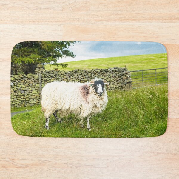 Item preview, Swaledale Sheep Artlegarth Cumbria  designed and sold by Cameranick.