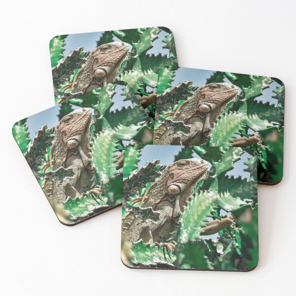 Item preview, Island Iguana sitting in a Cactus Tree designed and sold by AlishaWatson.