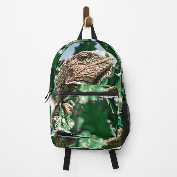 Item preview, Island Iguana sitting in a Cactus Tree designed and sold by AlishaWatson.