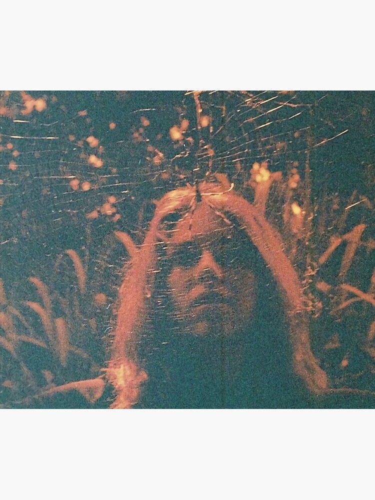 Disover Turnover - Peripheral Vision Tapestry