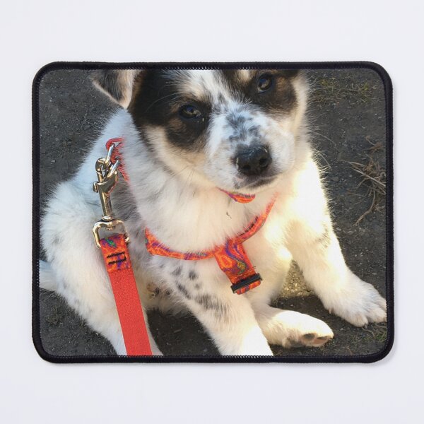 Item preview, Puppy Nim 1 designed and sold by NimsNature.