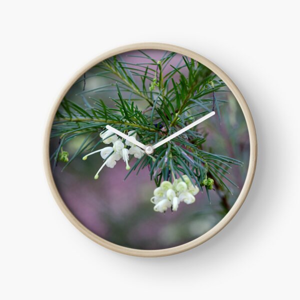 White Grevillea Clock