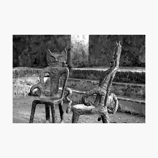 Have a Seat Photographic Print