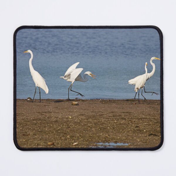 Item preview, Dancing in Ding designed and sold by Michiale.