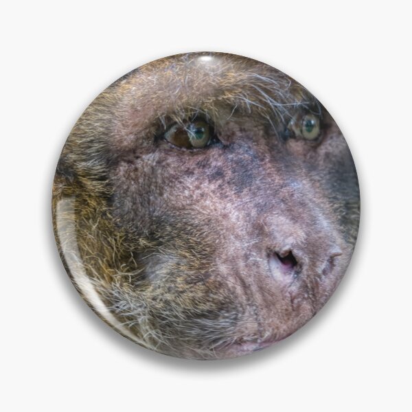 Item preview, Barbary macaques designed and sold by EcDigitalPhoto.