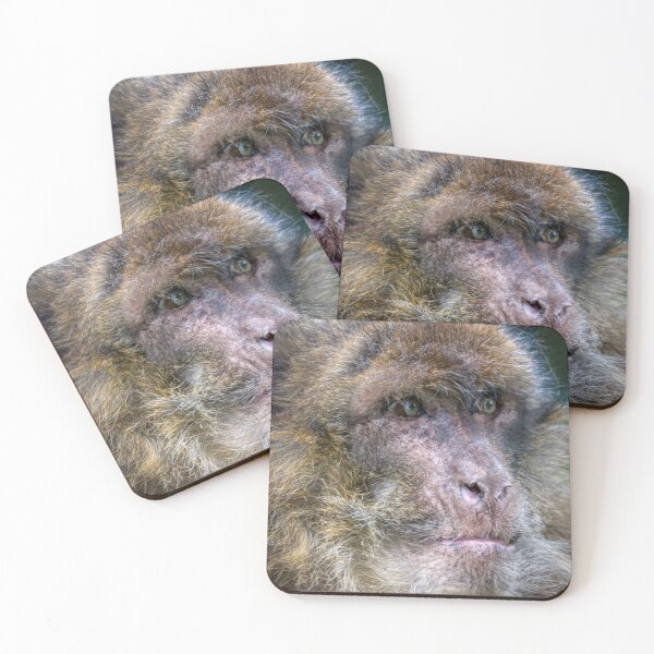 Item preview, Barbary macaques designed and sold by EcDigitalPhoto.