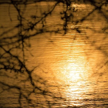 Artwork thumbnail, Liquid Gold by Ralph Goldsmith