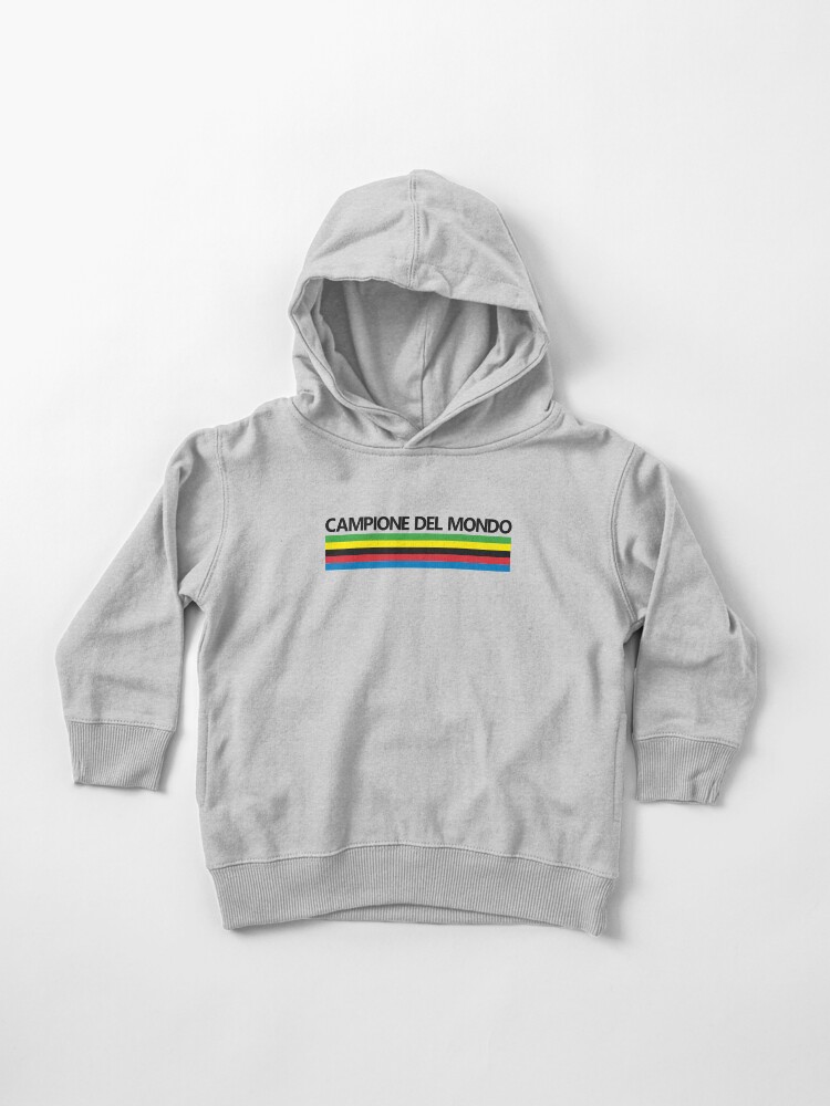 campione hoodie