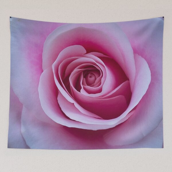 Item preview, Beautiful Pink Rose, Romantic designed and sold by Clothingspot.