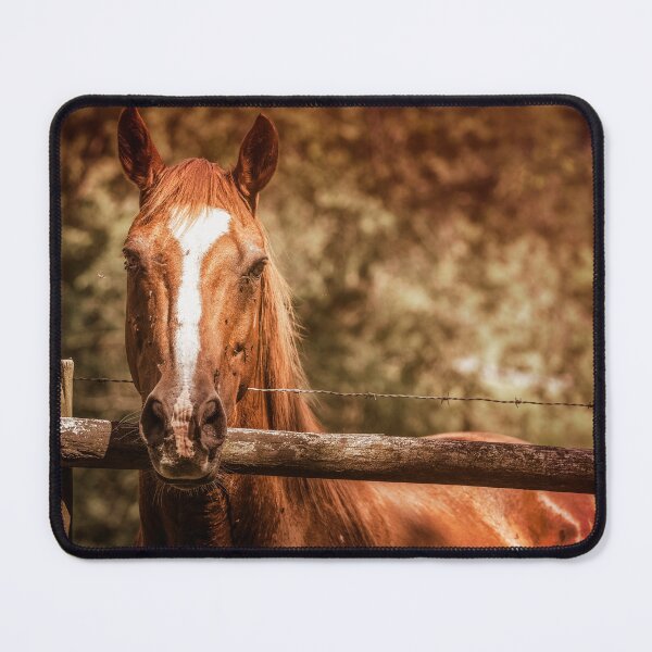Item preview, Neighborly Neighbor designed and sold by Jim Love.