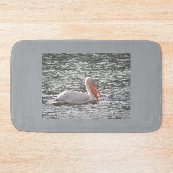 Item preview, Pretty Pelican in the Sunshine Photograph designed and sold by naturegallery.