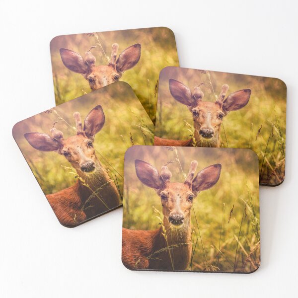 Item preview, Young Buck designed and sold by Jim Love.