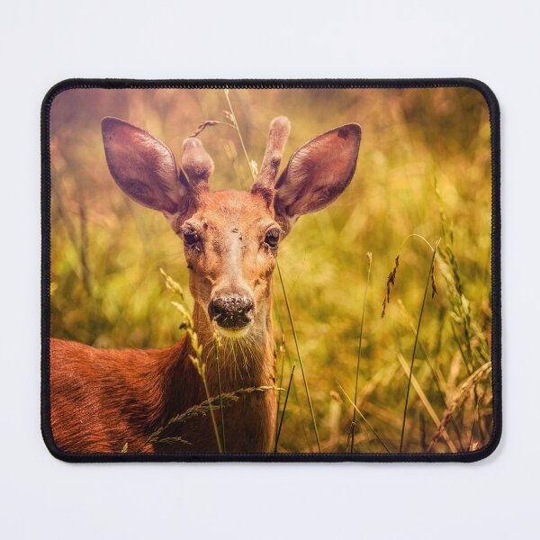 Item preview, Young Buck designed and sold by Jim Love.