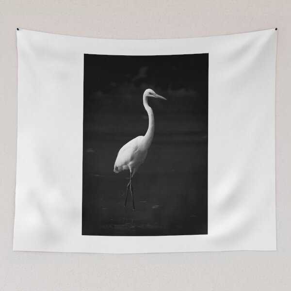Item preview, Intermediate egret wading through lake in mono designed and sold by Nick Dale Photography.