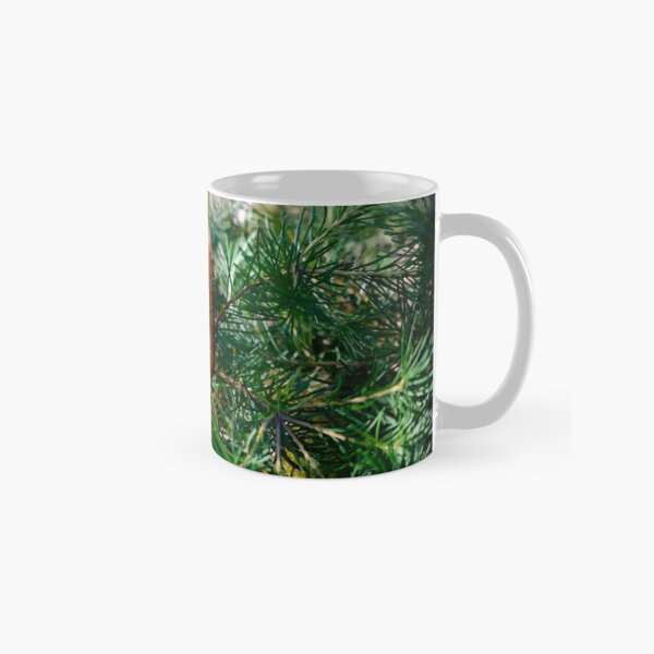 Orange Banksia Flower #2 Classic Mug